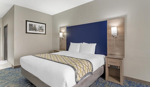 Standard Room, 1 King Bed, Accessible, Non Smoking