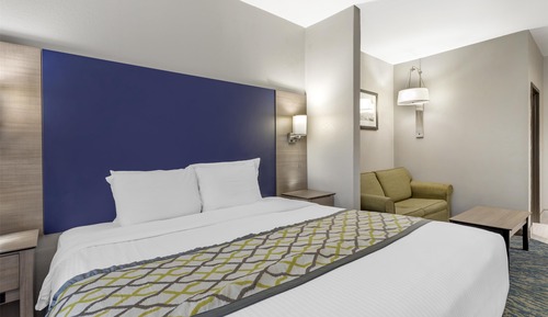 Standard Room, 1 King Bed, Non Smoking, Microwave (Larger Room;with Sofabed)
