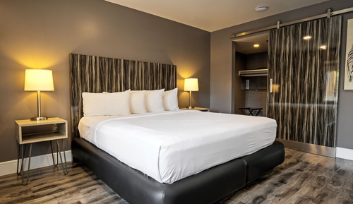 Poolside King Suite