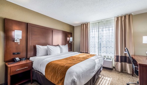 Standard Room, 1 King Bed, Non Smoking