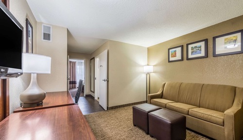 Suite, 1 King Bed with Sofa bed, Non Smoking (2 Person Sofa Bed)