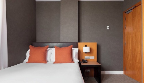 Superior Single Room