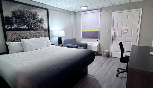 Room, 1 King Bed, Mobility Accessible, Non Smoking (Roll-In Shower)