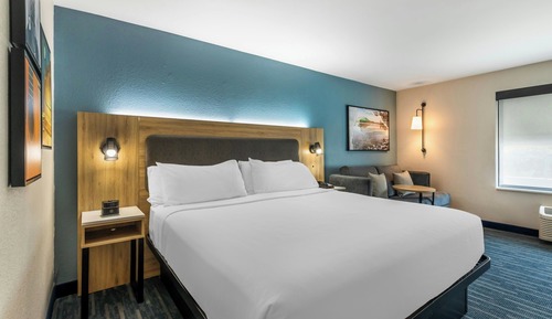 Standard Room, 1 King Bed with Sofa bed, Non Smoking (Hearing Accessible)
