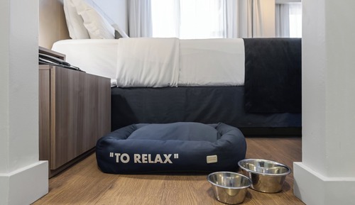 Studio Suite, 1 Queen Bed, Kitchen (Pet Friendly)