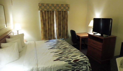 Superior Room, 1 King Bed, Accessible, Non Smoking