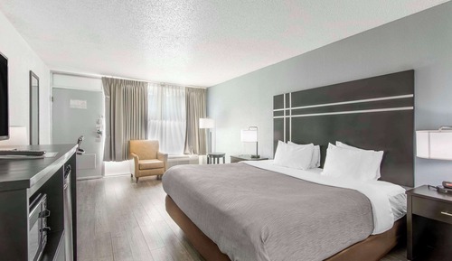 Standard Room, 1 King Bed, Non Smoking