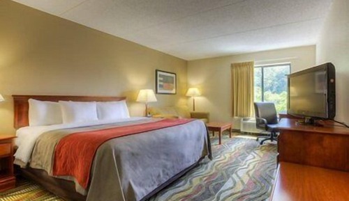 Room, 1 King Bed with Sofa bed, Accessible, Non Smoking