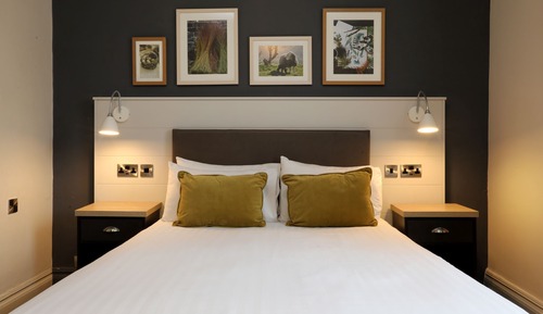 Standard Double Room
