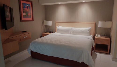 Standard Room, 1 King Bed, Accessible