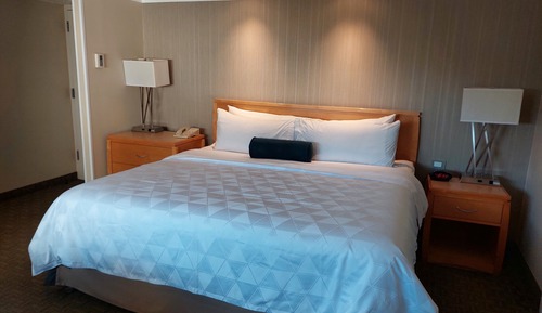 Standard Room, 1 King Bed, Pool View