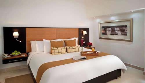 Room, 1 King Bed, Non Smoking