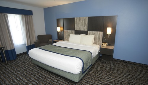 Single Room, 1 King Bed, Accessible