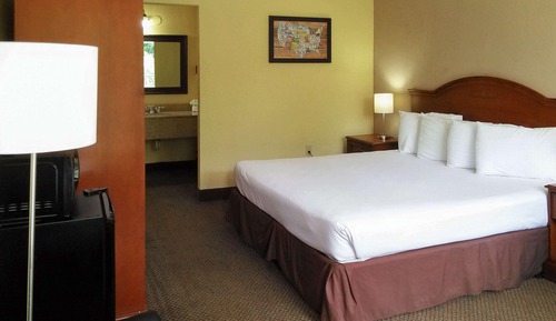Room, 1 King Bed, Non Smoking, Pool View (First Floor)