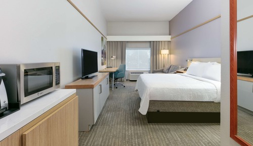 Room, 1 King Bed, Accessible, Bathtub
