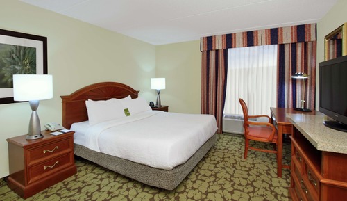 Room, 1 King Bed