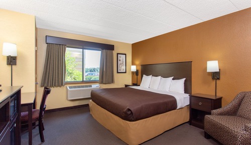 Room, 1 King Bed, Non Smoking