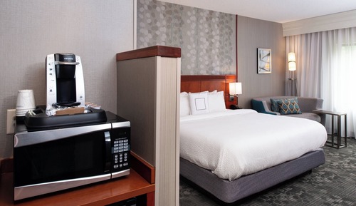 Room, 1 King Bed with Sofa bed