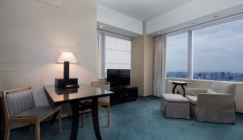 Room, 1 King Bed