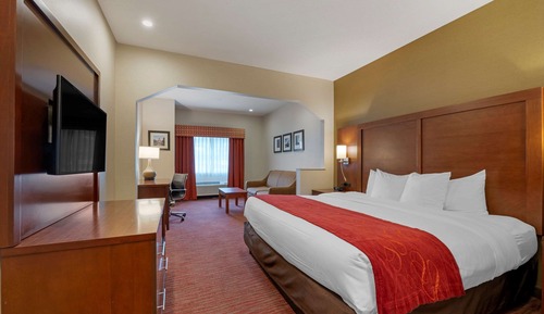 Suite, 1 King Bed with Sofa bed, Accessible, Non Smoking