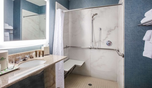 Room, 1 King Bed, Accessible, Non Smoking (Mobility,Hearing,Roll-In Shower)