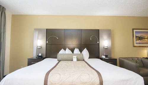 Superior Studio Suite, 1 King Bed, Non Smoking, Jetted Tub