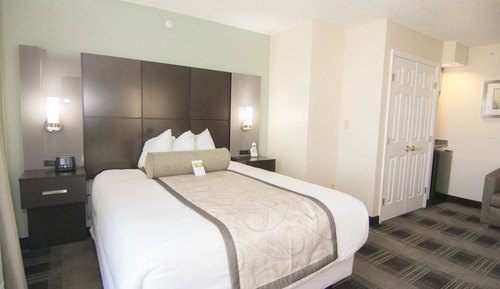 Standard Room, 1 Queen Bed (Non-Smoking)