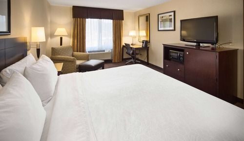 Room, 1 King Bed, Non Smoking