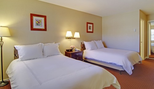 Standard Room, 2 Double Beds (Pet Friendly)