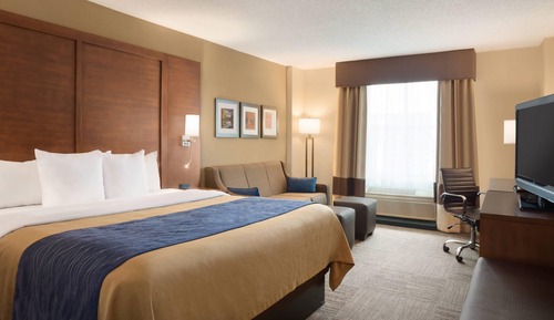 Standard Room, 1 King Bed with Sofa bed, Non Smoking