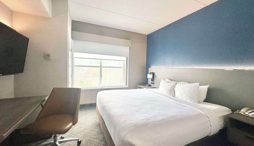Standard Room, 1 King Bed, Non Smoking