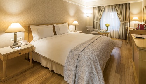 Superior Room, 1 Queen Bed ( 1 Queen  Bed )