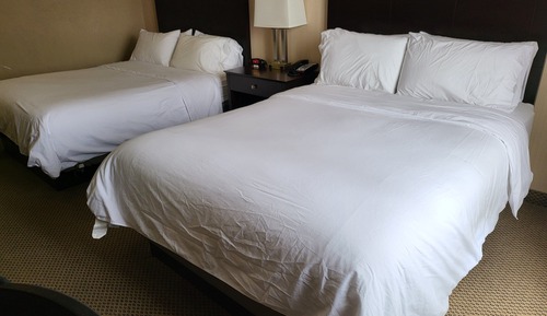 Suite, 2 Queen Beds