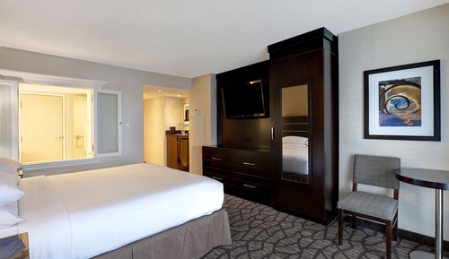 Premium Suite with 1 King, Sofa Bed and view of Niagara Falls and American Falls Floors 32-35