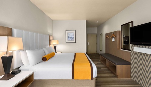 Room, 1 King Bed, Accessible, Non Smoking (Mobility, Roll-In Shower)