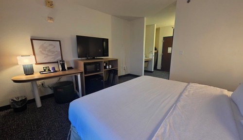 Room, 1 King Bed