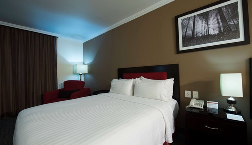 Room, 1 King Bed, Accessible, Non Smoking