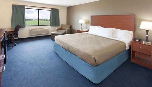 Room, 1 King Bed