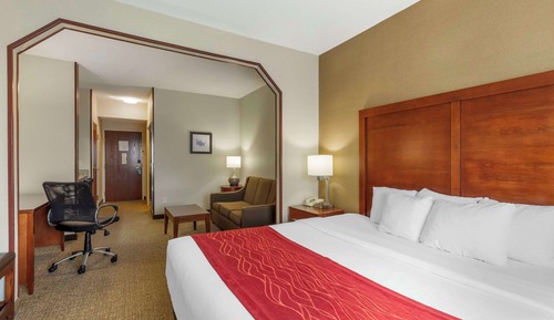 Suite, 1 King Bed with Sofa bed, Non Smoking