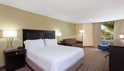 Standard Room, 1 King Bed, Accessible Bathtub (Communications, Mobility)