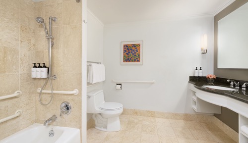 Classic Room, 1 King Bed, Accessible Bathtub (Accessible Tub)