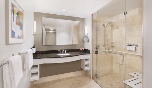 Classic Room, 1 King Bed, Roll-in Shower (Roll-In Shower)