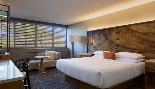 Room, 1 King Bed