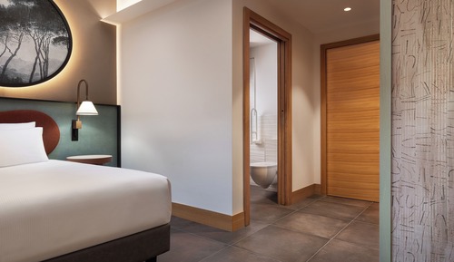 Room, 1 Twin Bed (Accesible)