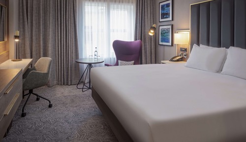 Executive Room, 1 King Bed