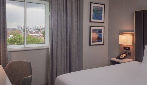 Room, 1 King Bed