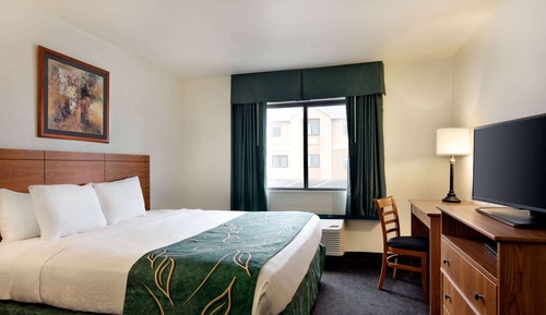 Room, 1 King Bed, Non Smoking