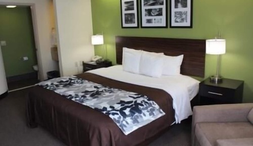 Standard Room, 1 King Bed, Non Smoking