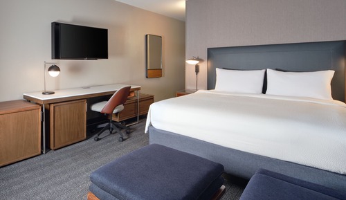 Room, 1 King Bed with Sofa bed