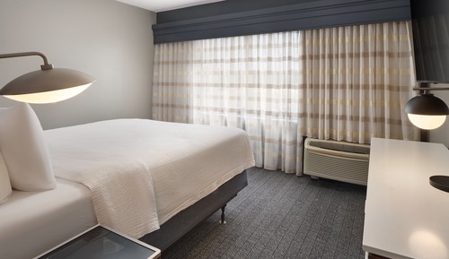 Suite, 1 King Bed with Sofa bed
